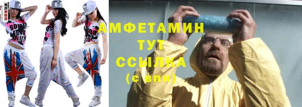 гидра Арсеньев
