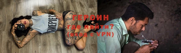 гидра Арсеньев