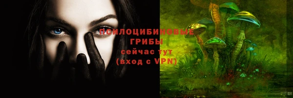 гидра Арсеньев