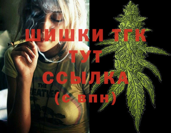 гидра Арсеньев