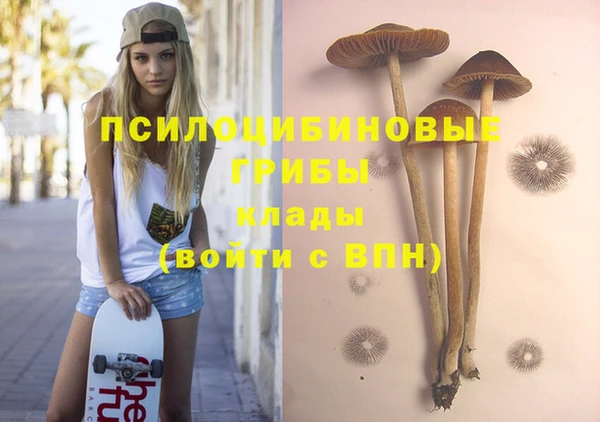 дживик Алексин