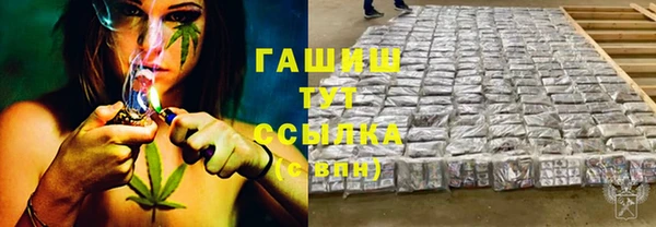 гидра Арсеньев